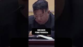 테슬라보다 좋다고 광고하는 개구라 북한 전기차