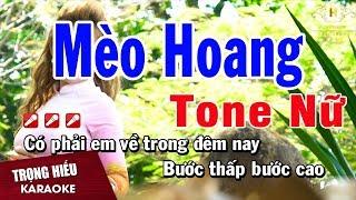 Karaoke Mèo Hoang Tone Nữ Nhạc Sống  Trọng Hiếu