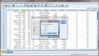 Independent t-test using SPSS