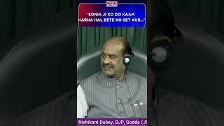 Sonia Gandhi Bursts Into Laughter As BJP MP Says Unko Ko Do Kaam Karna Hai Bete Ko Set Aur...