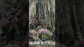 映像舞山林