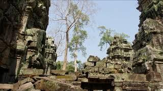 Камбоджа Ангкор Та Прум фото