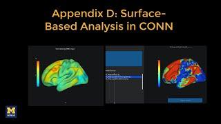 CONN Tutorial Appendix D Surface-Based Analysis