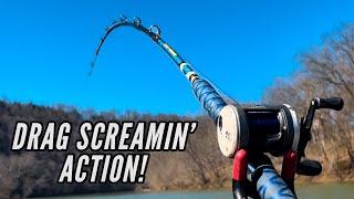 40 Minutes of Monster Catfish Action Giant Catfish Compilation