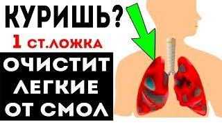 КУРИШЬ? Это Выгонит Все СМОЛЫ из ЛЕГКИХ Как очистить легкие и бросить курить