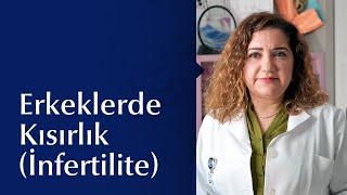 Erkeklerde Kısırlık İnfertilite Nedenleri Tanı ve Tedavi Yöntemleri Nelerdir?