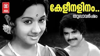 Keli Nalinam Vidarumo  Thulavarsham  Vayalar  Salil Chowdhury  KJ Yesudas  Sridevi  Sudheer