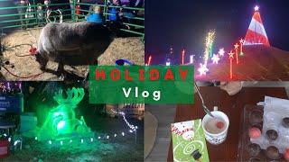 Live Reindeer Fireworks Ice Sculpting Hot Chocolate Bombs and Catch Up Sesh  HOLIDAY VLOG