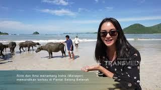 KALO KALIAN PERGI KE LOMBOK WAJIB BANGET NIH DATENG KE PANTAI SELONG BELANAK  RINDU 8122 P1