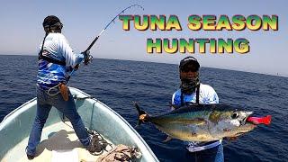 Yellow Fin Tuna Season Hunting  Green Anglers Oman  Twin Power 14K  Top Water Fishing  Popping