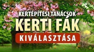 Milyen fát válasszunk a kertünkbe? - kertépítés tanácsok kertészet Budapest