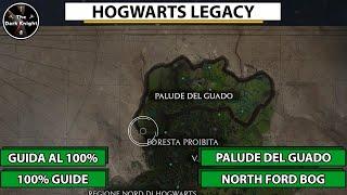 Hogwarts Legacy Tutti i collezionabili - Palude del guado  Collectibles - North Ford Bog