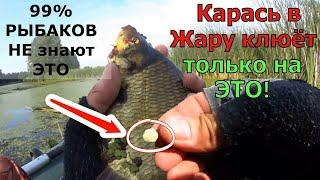 СУПЕР РЫБОЛОВНАЯ НАСАДКА НА КАРАСЯ В ЖАРУ. На что клюёт карась летом.