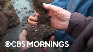 Scotlands peat bogs recognized for their vital role in storing carbon