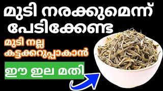 Natural Hair Dyeനരക്കുമെന്ന പേടിവേണ്ട മുടി കട്ടക്കറുപ്പാവാൻ ഈ ഇല മതി#trending#naturalhairdye