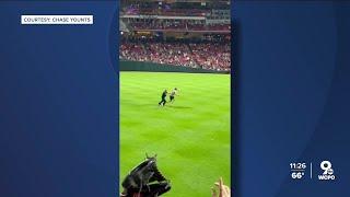 Officer tases fan who ran onto field at Reds-Guardians game