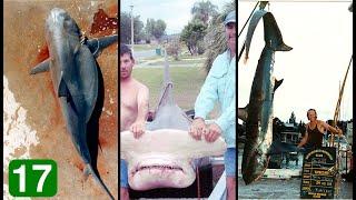 17 Biggest Fish Ever Caught Meet the Ocean Giants