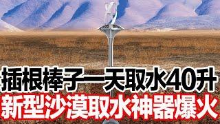 插根棒子一天取水40升，新型沙漠取水神器爆火