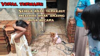 Viral  semua anak-anak terkejut melihat anak durhaka yang berubah jadi anjing bisa bicara