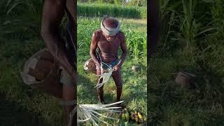 Making பனை ஓலை ... if you like this hit like here #Former #palmtree #support #subscribe #tamilnadu