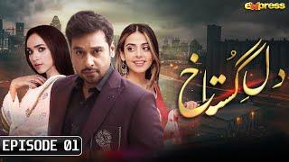 Dil e Gustakh - Episode 1  Faysal Quraishi - Yashma Gill - Faryal Mehmood - Ali Ansari  Express TV