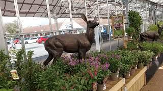 Notcutts Garden Centre Solihull  Shopping in Solihull