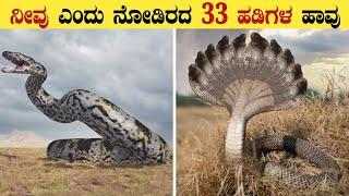 Worlds Biggest Snake  Amazon Forest Mystery Explained In Kannada  Think Forever