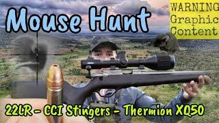 Mouse Hunt - Pest Control & Thermal Shooting with a 22LR Lithgow LA101