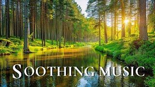 Soothing Music Heals The Heart And Blood Vessels  Calms The Nervous System And Relieves Stress
