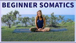 Evening Seated Somatic Yoga Exercises + Self Massage  UNLOCK UPPER BODY LATS LOW BACK in 7 Min