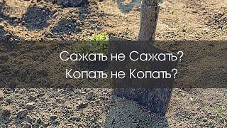 #Сажать#Копать #неКопать? Сажать ли? если участок не перекопан?Копать ли огород надрывая спины?