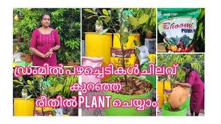 ഏറ്റവും ചിലവ് കുറഞ്ഞ രീതിയിൽ ഡ്രംമിൽ plant ചെയ്യാം. Muvattupuzha 9495159269