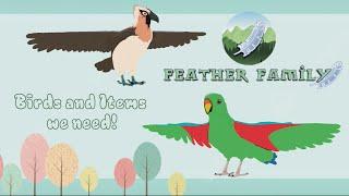 Feather Family  Birds & Items we need