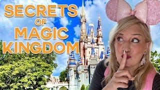 The BEST KEPT SECRETS of Disney Worlds Most Popular Rides Magic Kingdom