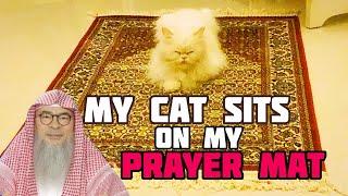 If my cat sits on my prayer mat is it ok or must I move it aside? - Assim al hakeem