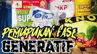 PEMUPUKAN FASE GENERATIF PADA TANAMAN MELON