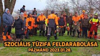 FŰRÉSZ MÁNIA 80m3 SZOCIÁLIS TÜZIFA FELDARABOLÁSA PÁZMÁND 2023.01.28.