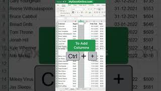 Add & Delete Rows & Columns in Excel  #shorts #myexcelonline #excel #msexcel