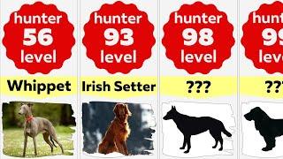 Comparison Top 50 Best Hunting Dog Breeds  Better Dog Hunters