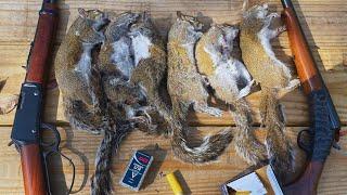 4 Squirrels out of one tree 20 Gauge Squirrel Hunting. Catch Clean Cook