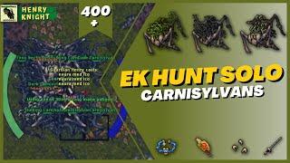 TIBIA EK HUNT SOLO #76 CARNISYLVANS FOREST OF LIFE - BOUNAC