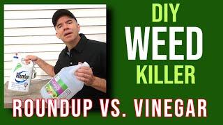 Quick Tip Is DIY vinegar weed killer better than Roundup?