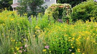 Gardening with native plants