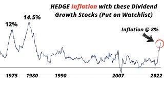 Best Dividend Stocks and ETF to HEDGE Inflation And The Upcoming Recession