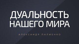 Дуальность нашего мира. Александр Палиенко.