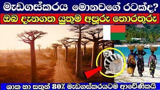 මැඩගස්කරය ගැන ඔබ දැනගත යුතුම දේවල්  Madagascar sinhala