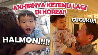 AKHIRNYA KETEMU HALMONI &HARABOJI DI KOREA GAK MAU PISAH LAGI