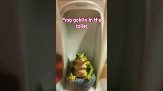 Frog goblin in the toilet#frog #scary #toilet