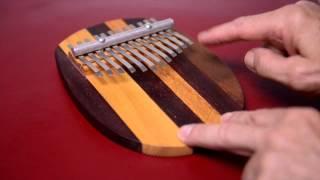 Kalimba for Beginners i.e. Jamie Kelty with Professor David Plakke