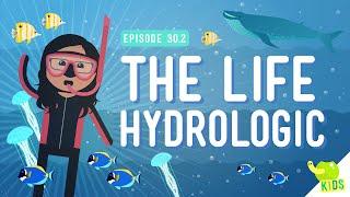 The Life Hydrologic Crash Course Kids #30.2